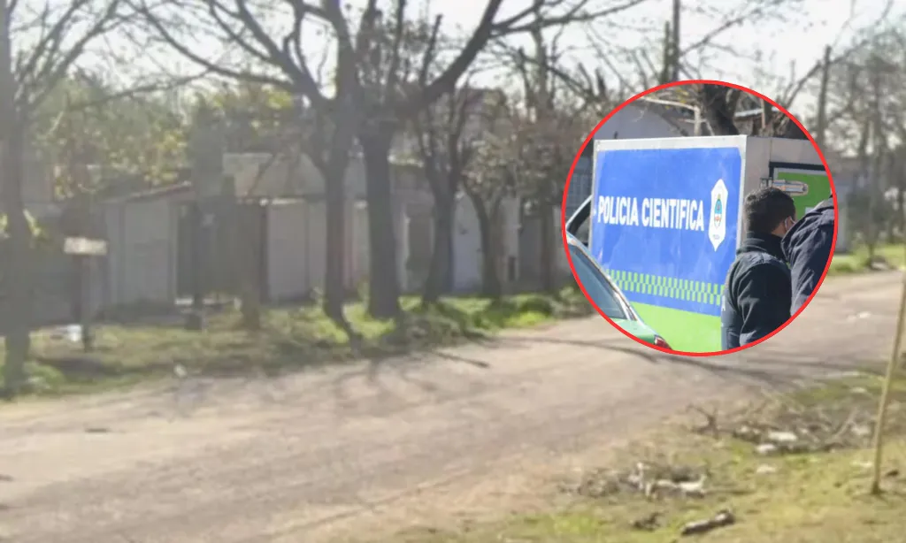 Presentación (43) (2)